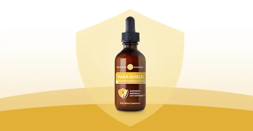 Gut Detox